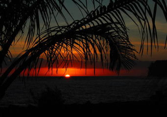 排气管消声器内部结构(排气管消声器工作原理是什么?)