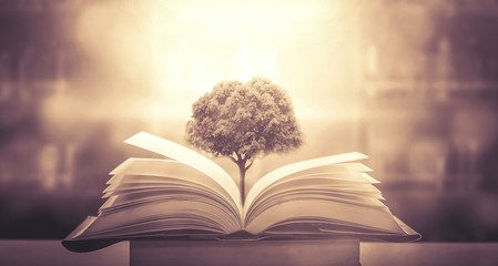 宝马女款车20万左右(宝马女款车20万左右的车型)