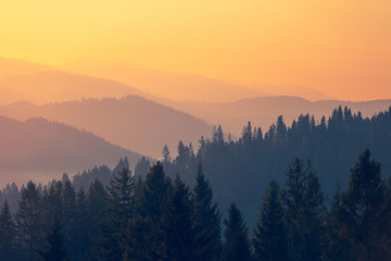 auto空调上是什么意思 AUTO空调上是什么意思