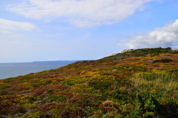 auto空调上是什么意思 AUTO空调上是什么意思