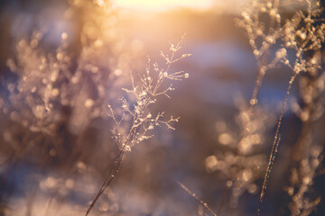 排气管消声器内部结构(排气管消声器工作原理是什么?)