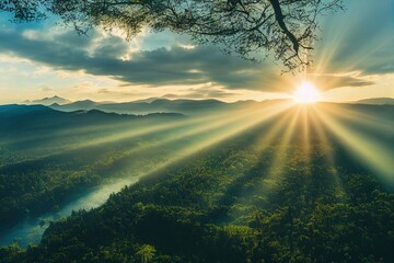 一汽大众商务车／一汽大众商务车型大全