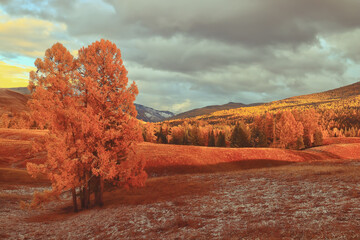 auto空调上是什么意思 AUTO空调上是什么意思