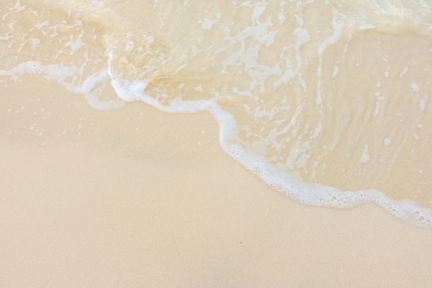 一汽大众商务车/一汽大众商务车型大全