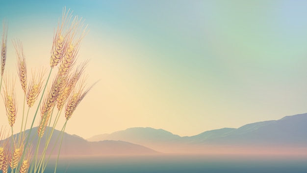 宝马女款车20万左右(宝马女款车20万左右的车型)