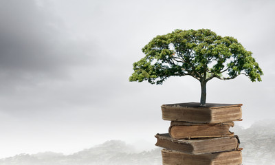 bmw4系敞篷轿跑车配置 bmw 4系敞篷轿跑车