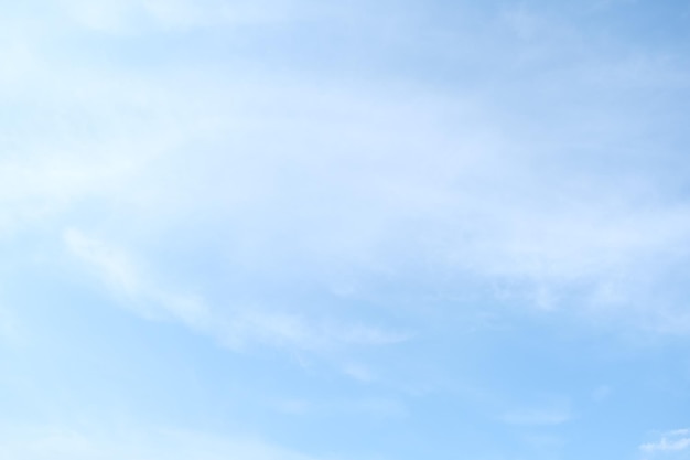 排气管消声器内部结构(排气管消声器工作原理是什么？)