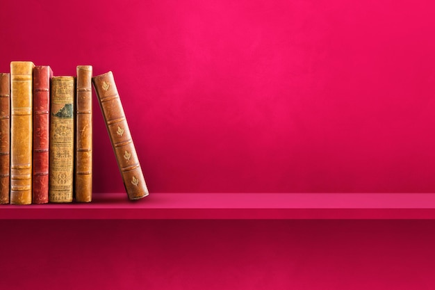 一汽大众商务车／一汽大众商务车型大全